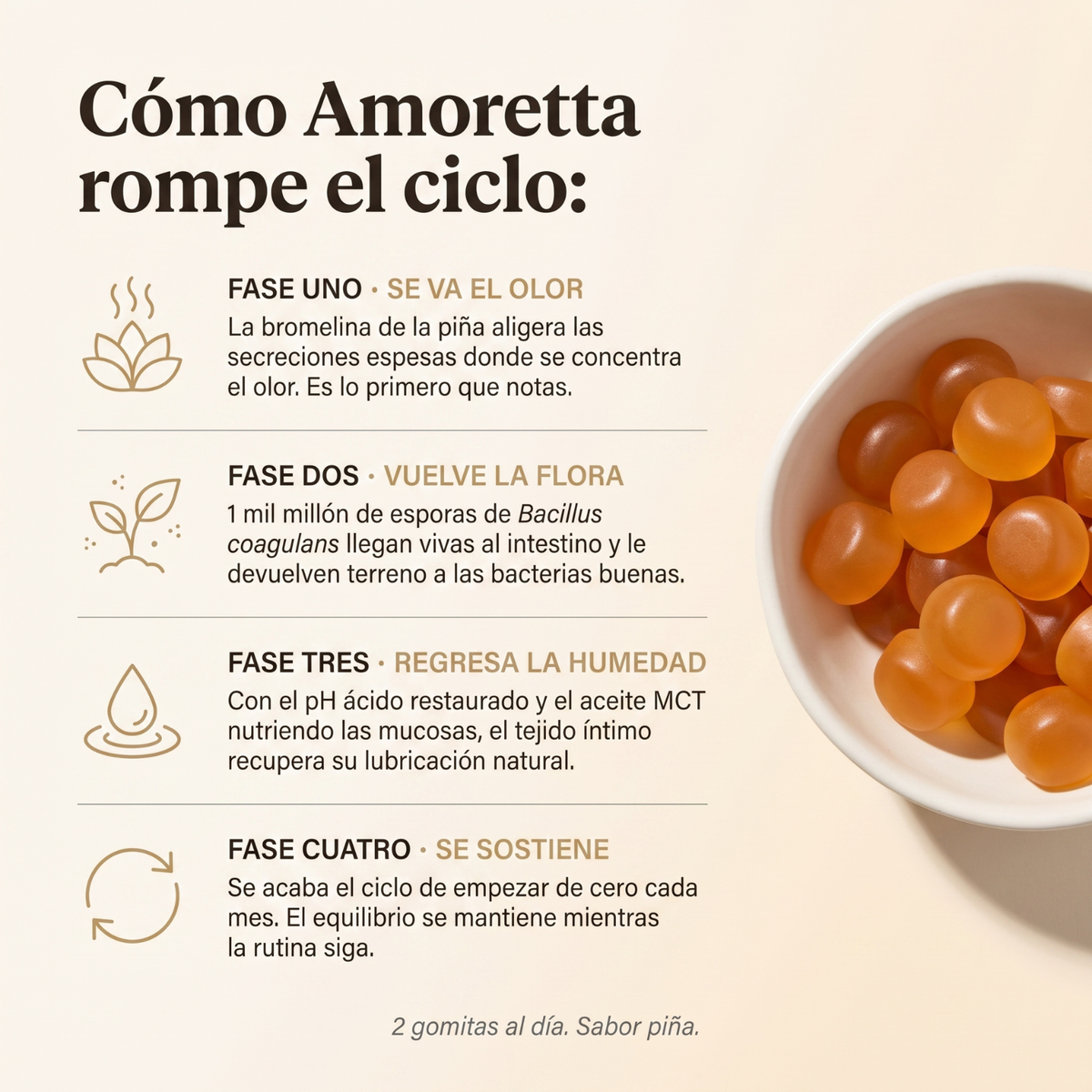 Cómo funciona Amoretta