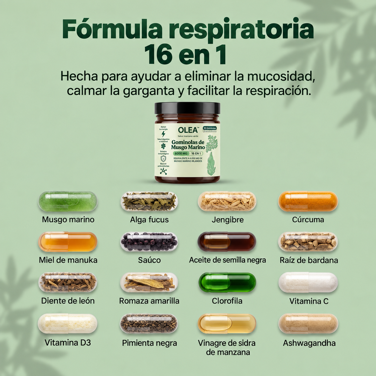 Gominolas de Musgo Marino 16 en 1 Para Eliminar la Mucosidad & Recuperar la Salud Respiratoria