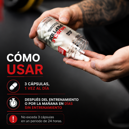 MUSCLE PEPTIDE® – Apoyo muscular y rendimiento masculino