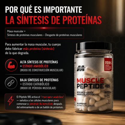 MUSCLE PEPTIDE® – Apoyo muscular y rendimiento masculino