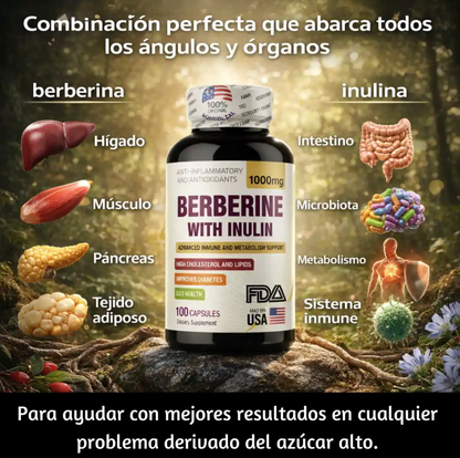 BERBERINE 1000mg - Apoyo al cuidado y control de la diabetes.