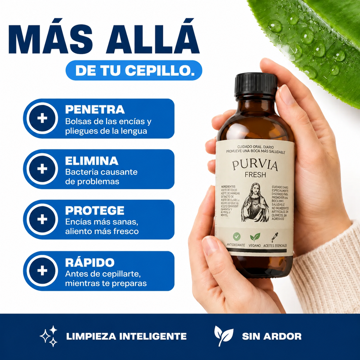 Purvia Fresh | Alivio de las encías en 14 días