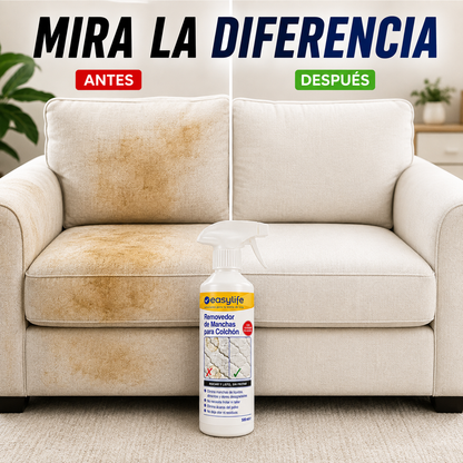 EASY LIFE | SÚPER REMOVEDOR DE MANCHAS
