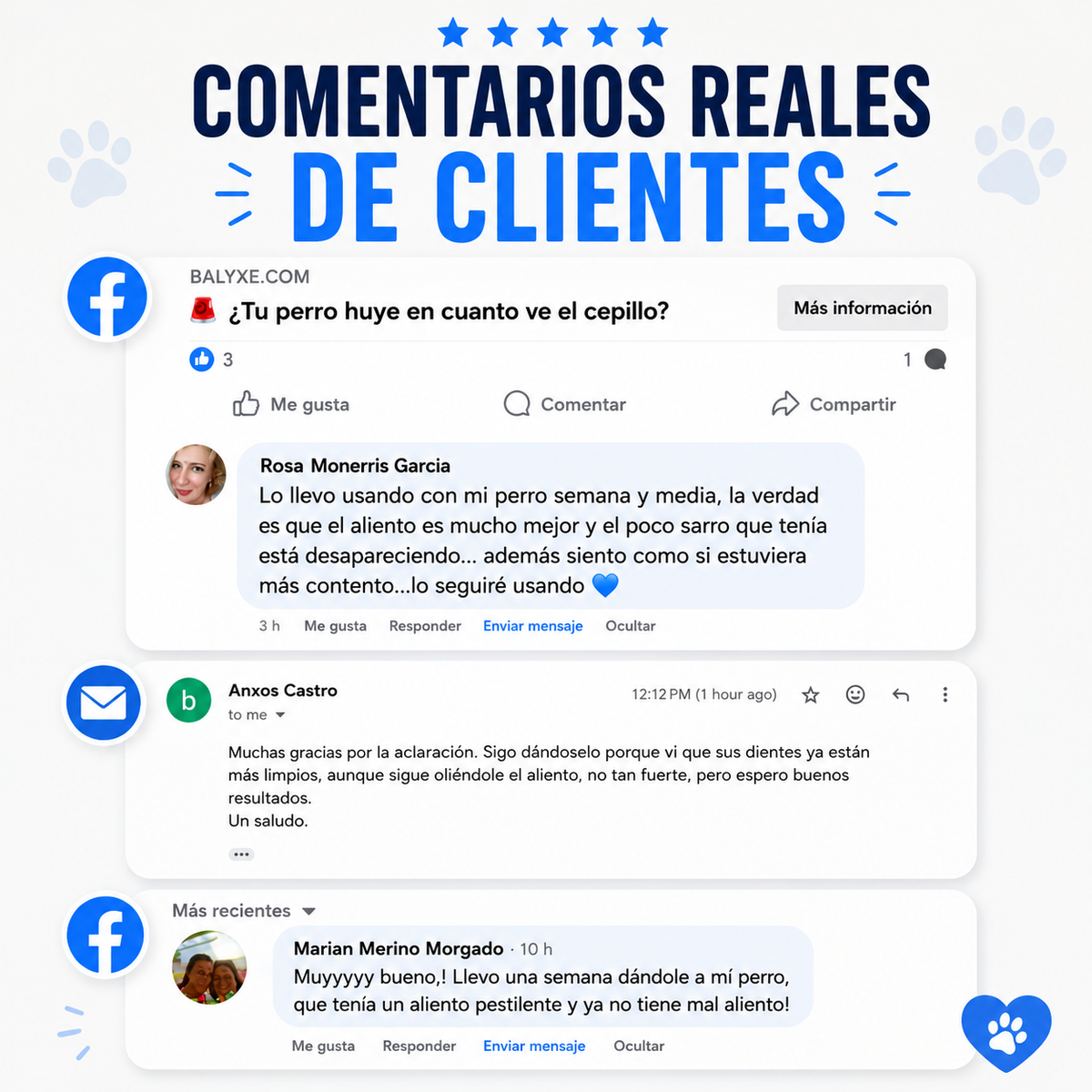 Balyxe: Protección Dental para Mascotas